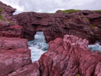 Tickle Cove